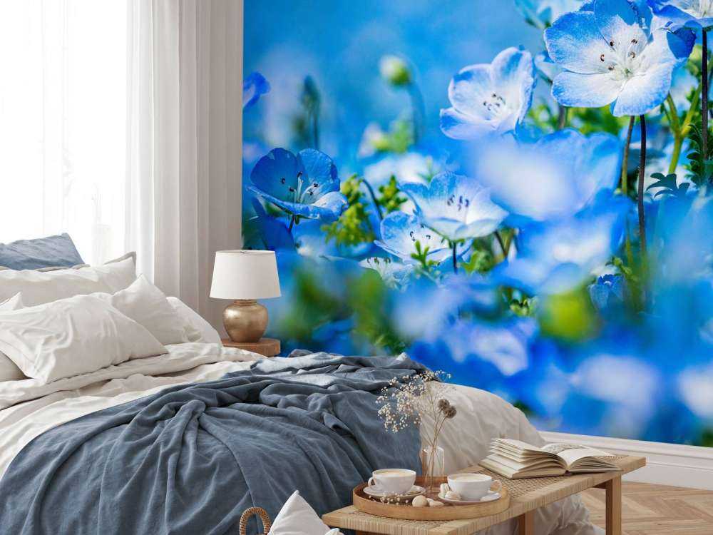 Blau Weiße Narzissen