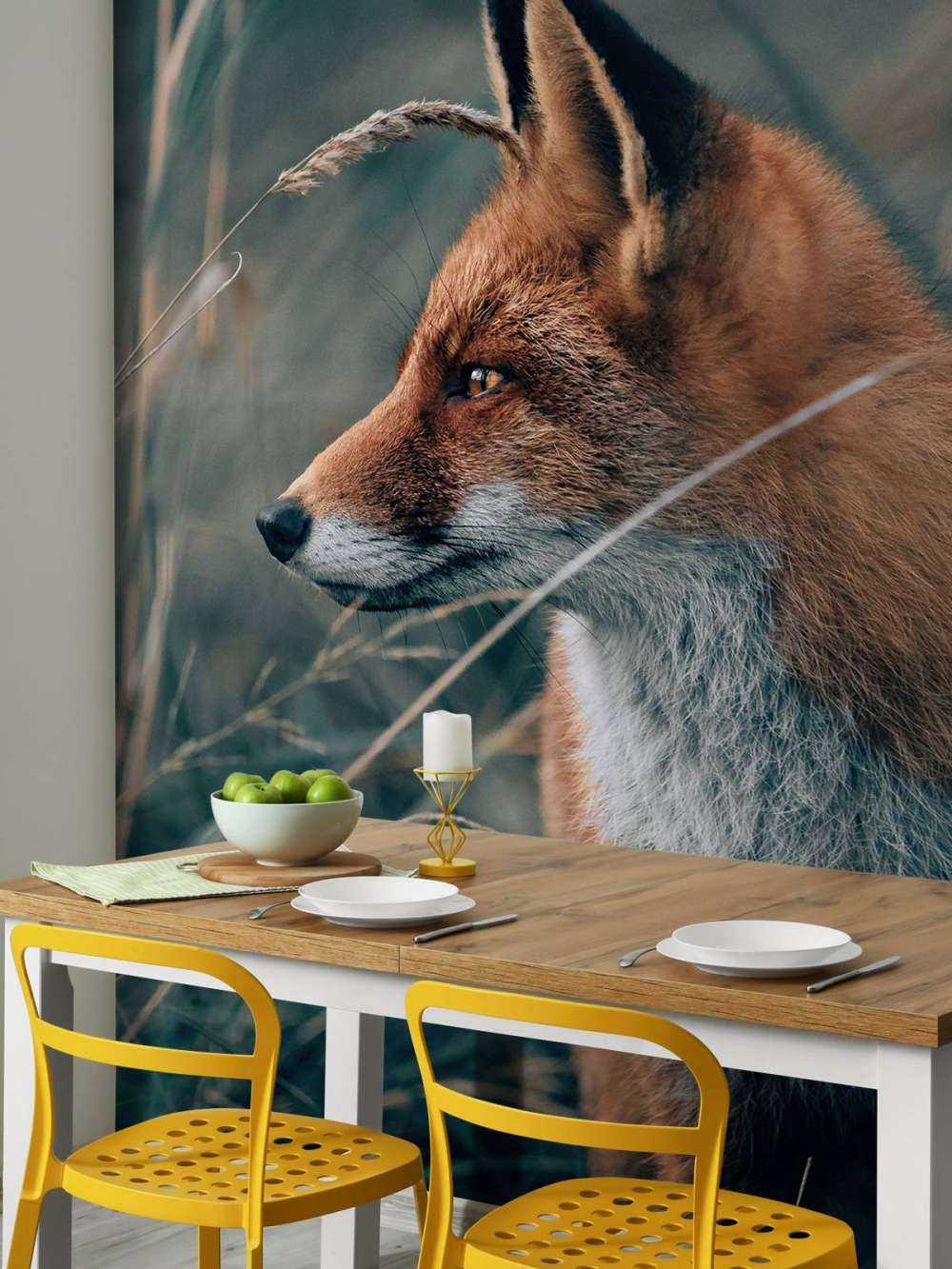 Fuchs in den Dünen
