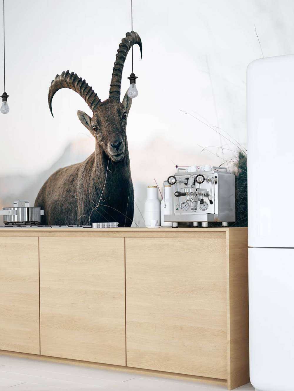 Steinbock in den Bergen