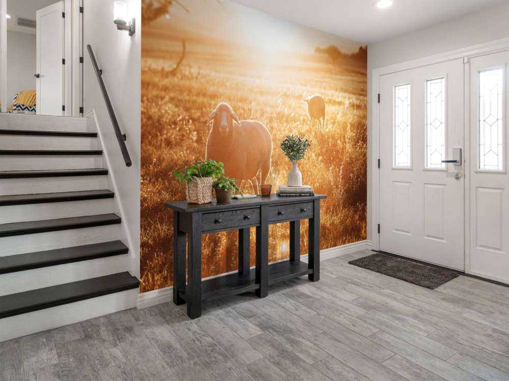 Schafe auf einer schönen Weide