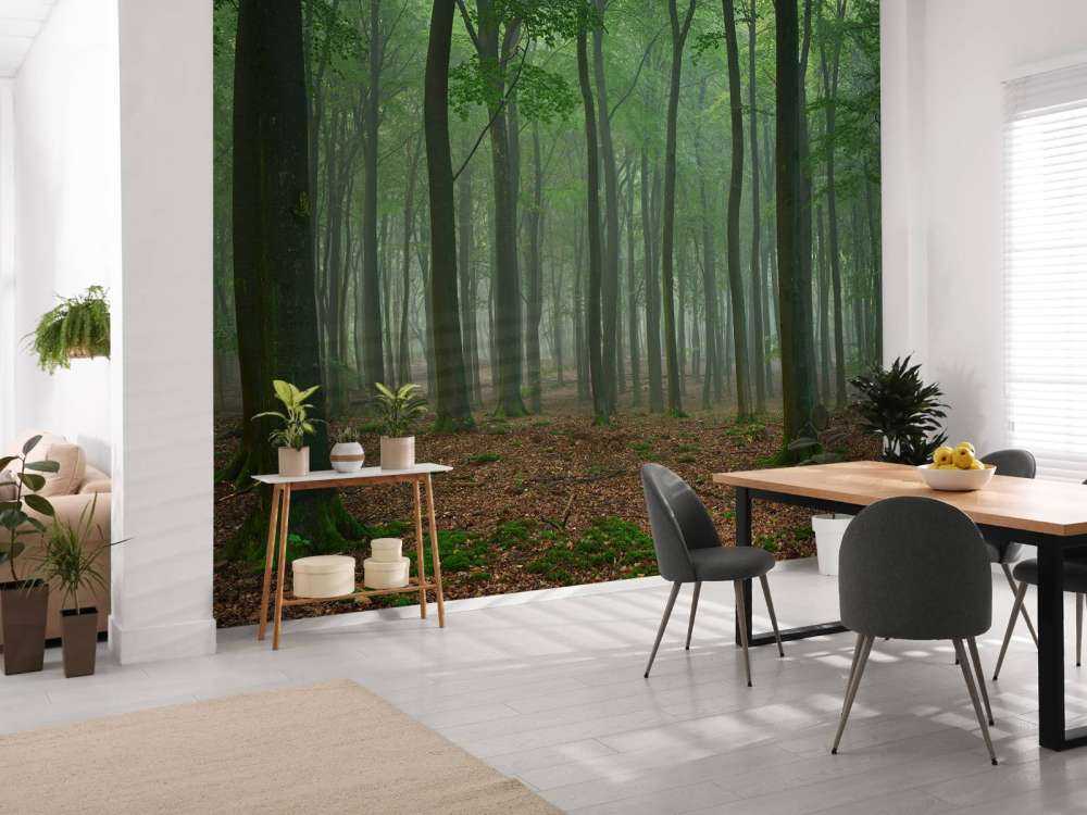 Nebel im Wald