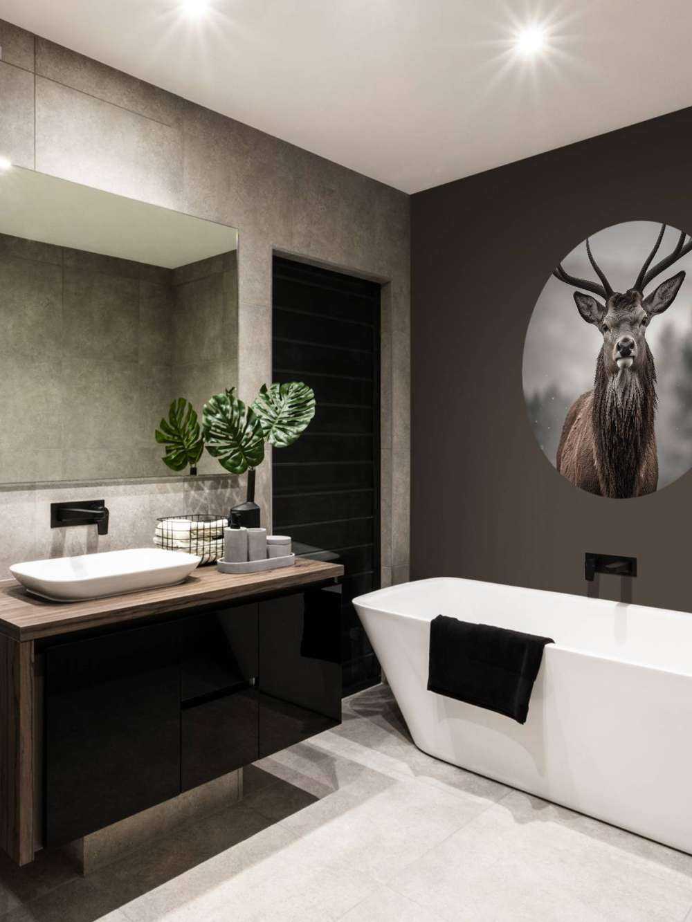 Winterkönig Hirschblick