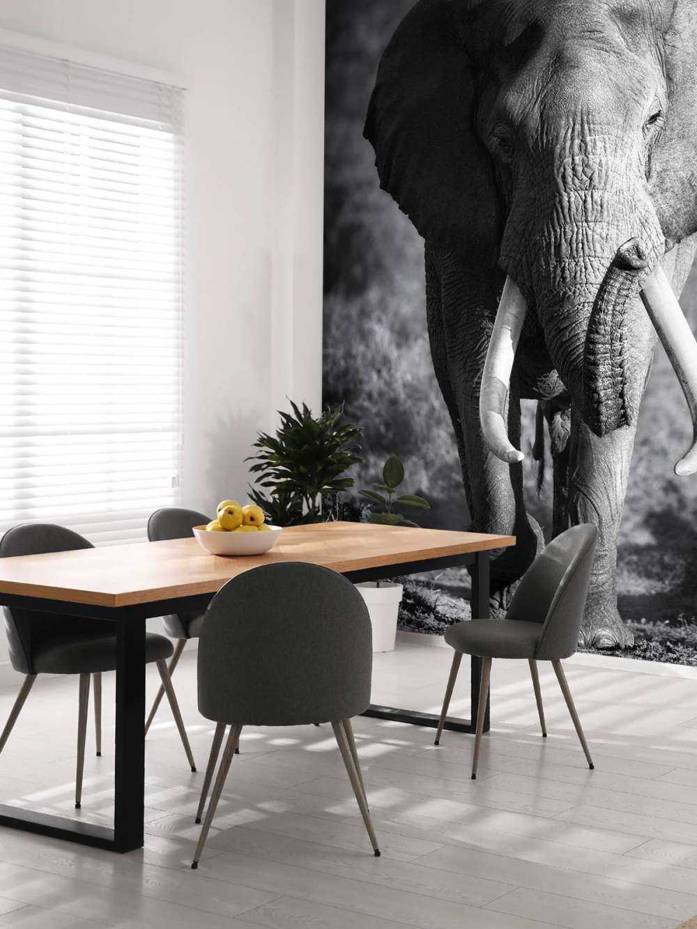 Afrikanischer Elefant