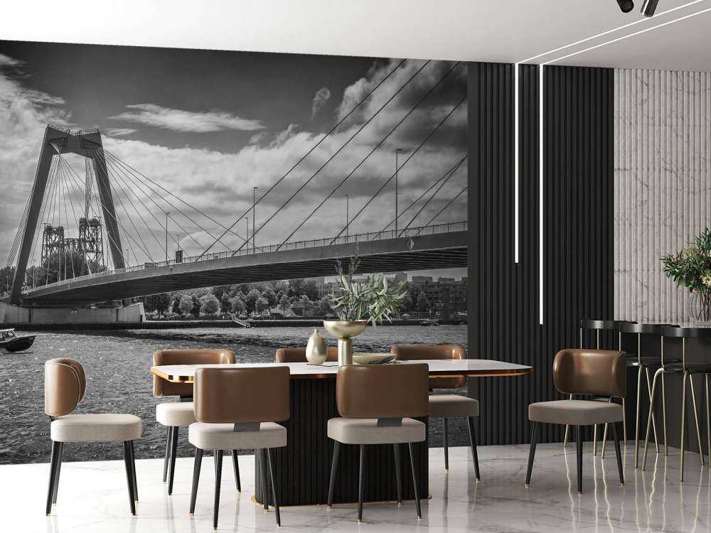 Passieren der Prinz-Willem-Alexander-Brücke in Rotterdam in Schwarz-Weiß  