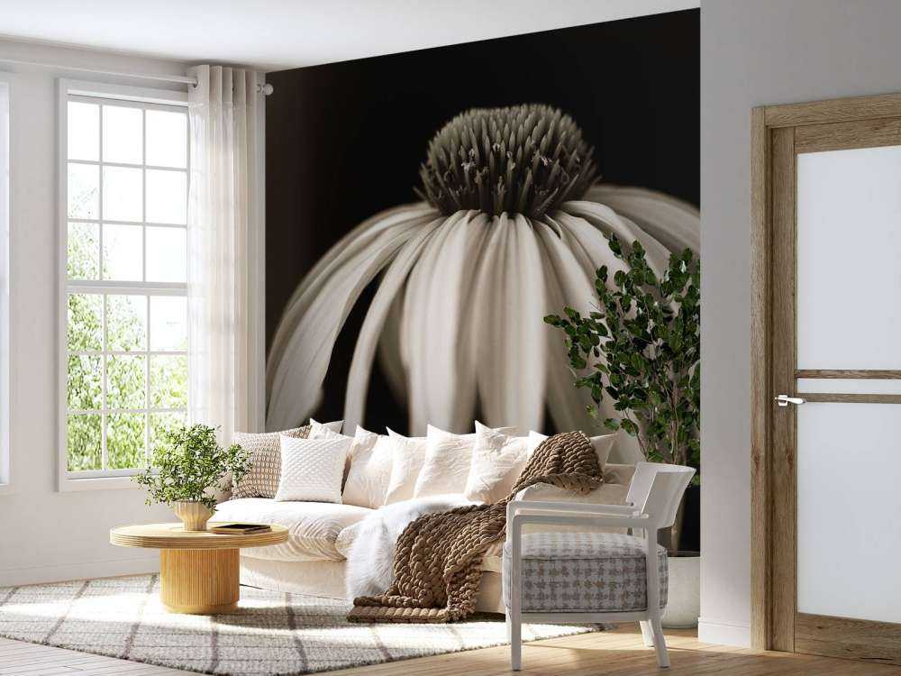 Zapfenblume Nahaufnahme