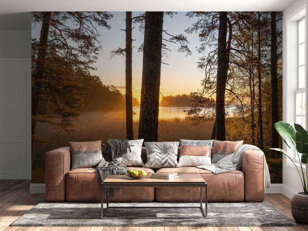Wald bei Sonnenuntergang