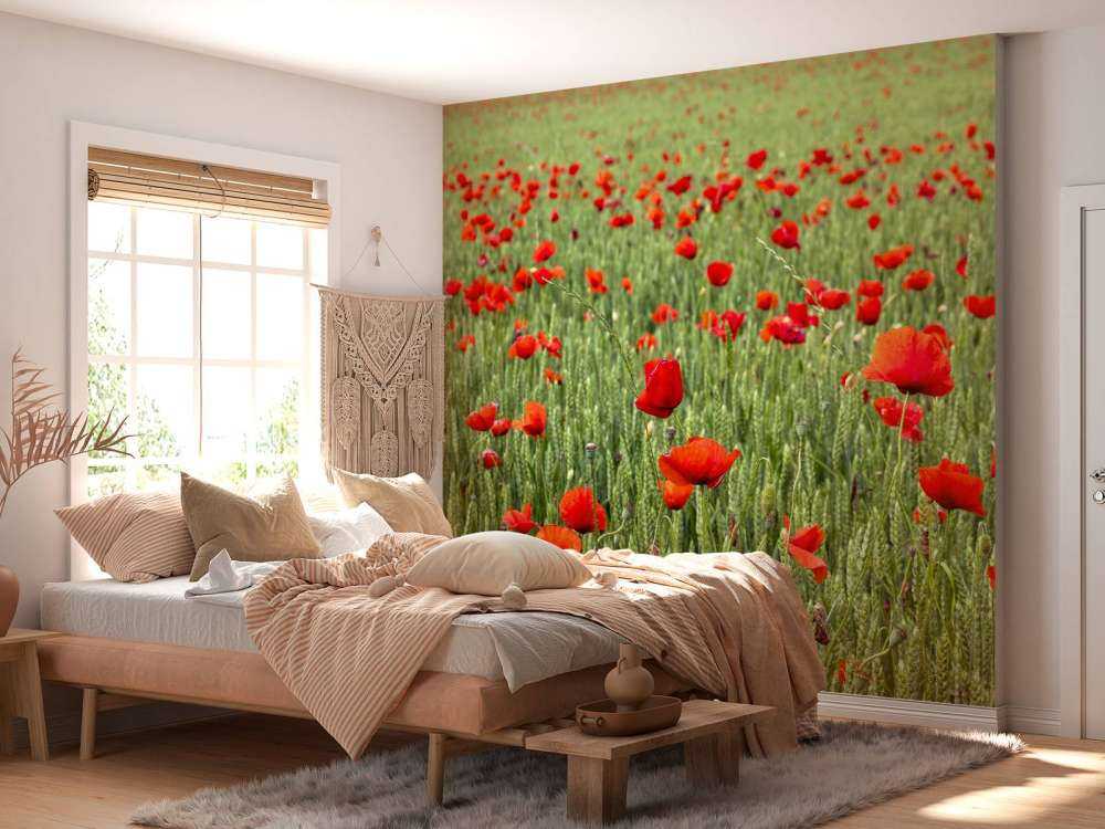 Rote Mohnblumen Feld