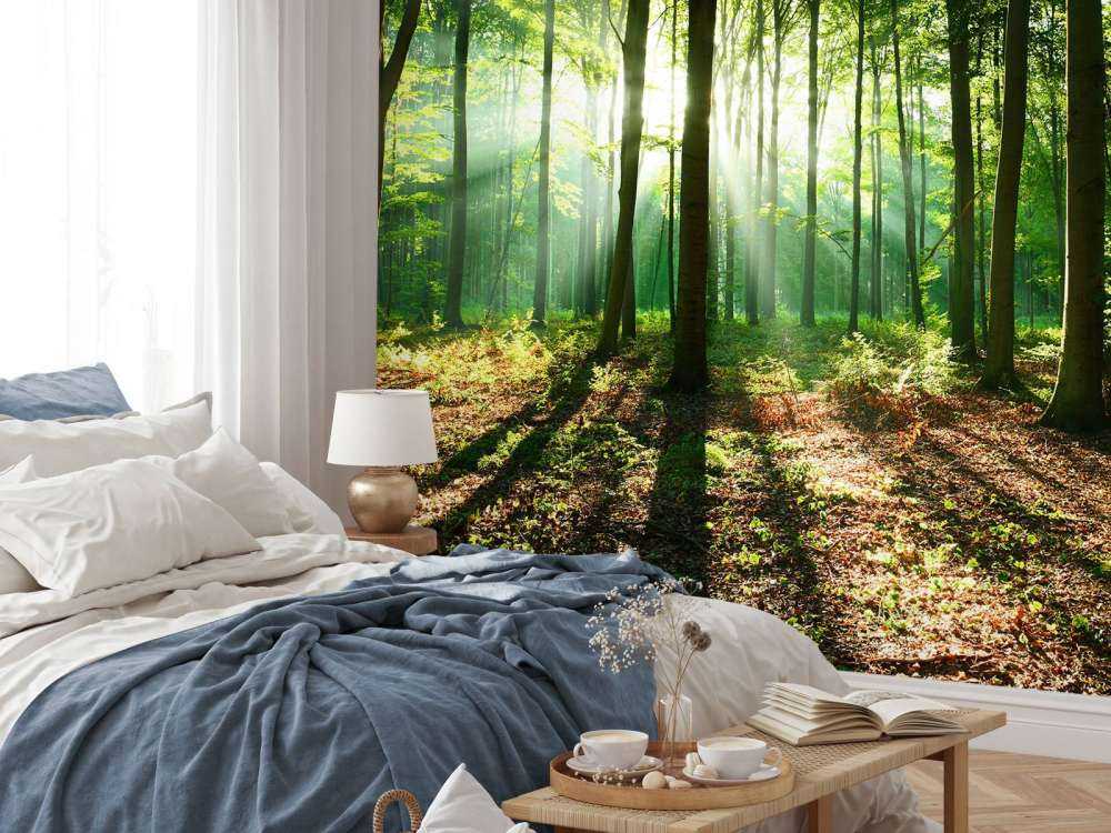 Ein Morgen im Wald