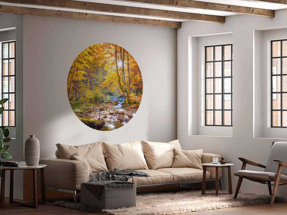 Herbst im wilden Wald