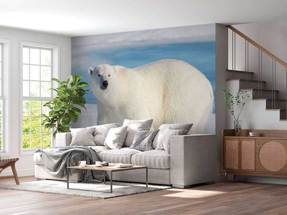 Eisbär