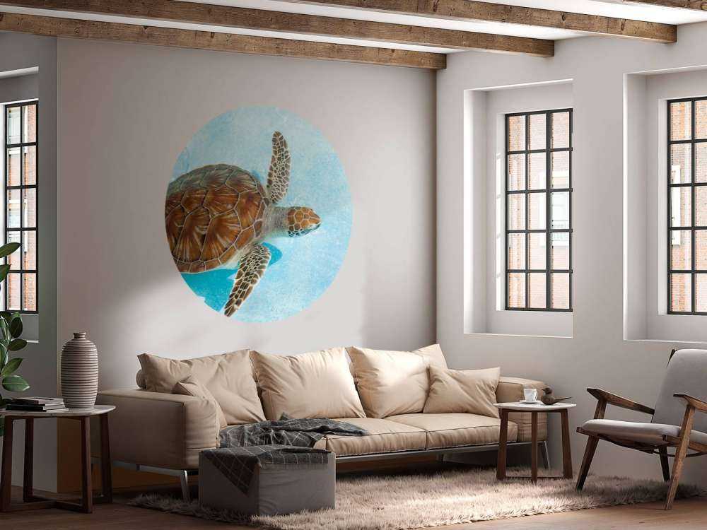 Schildkröte im Wasser