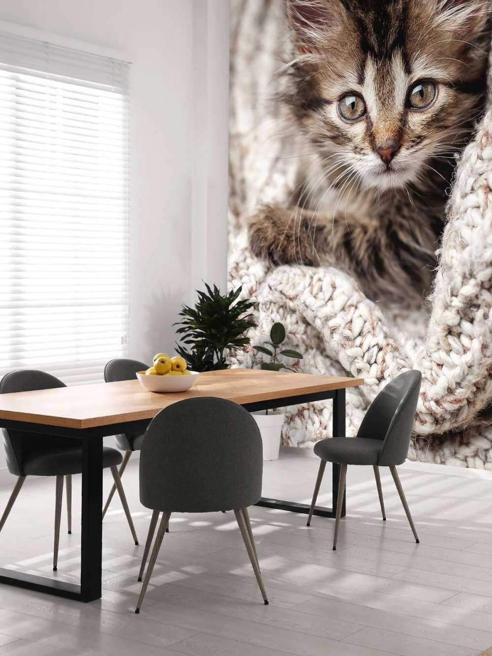Katze in einer Decke