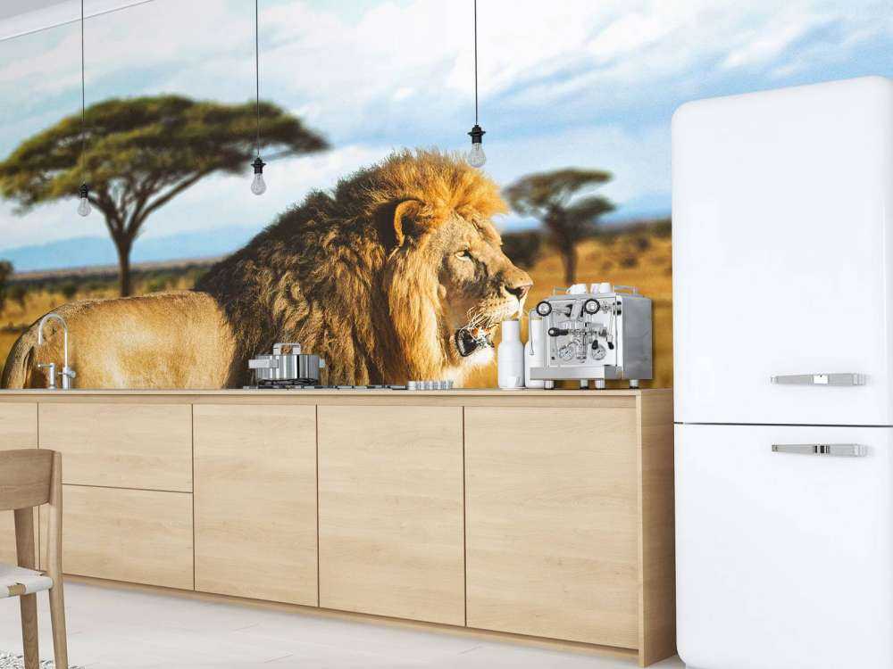 Löwe in der Savanne