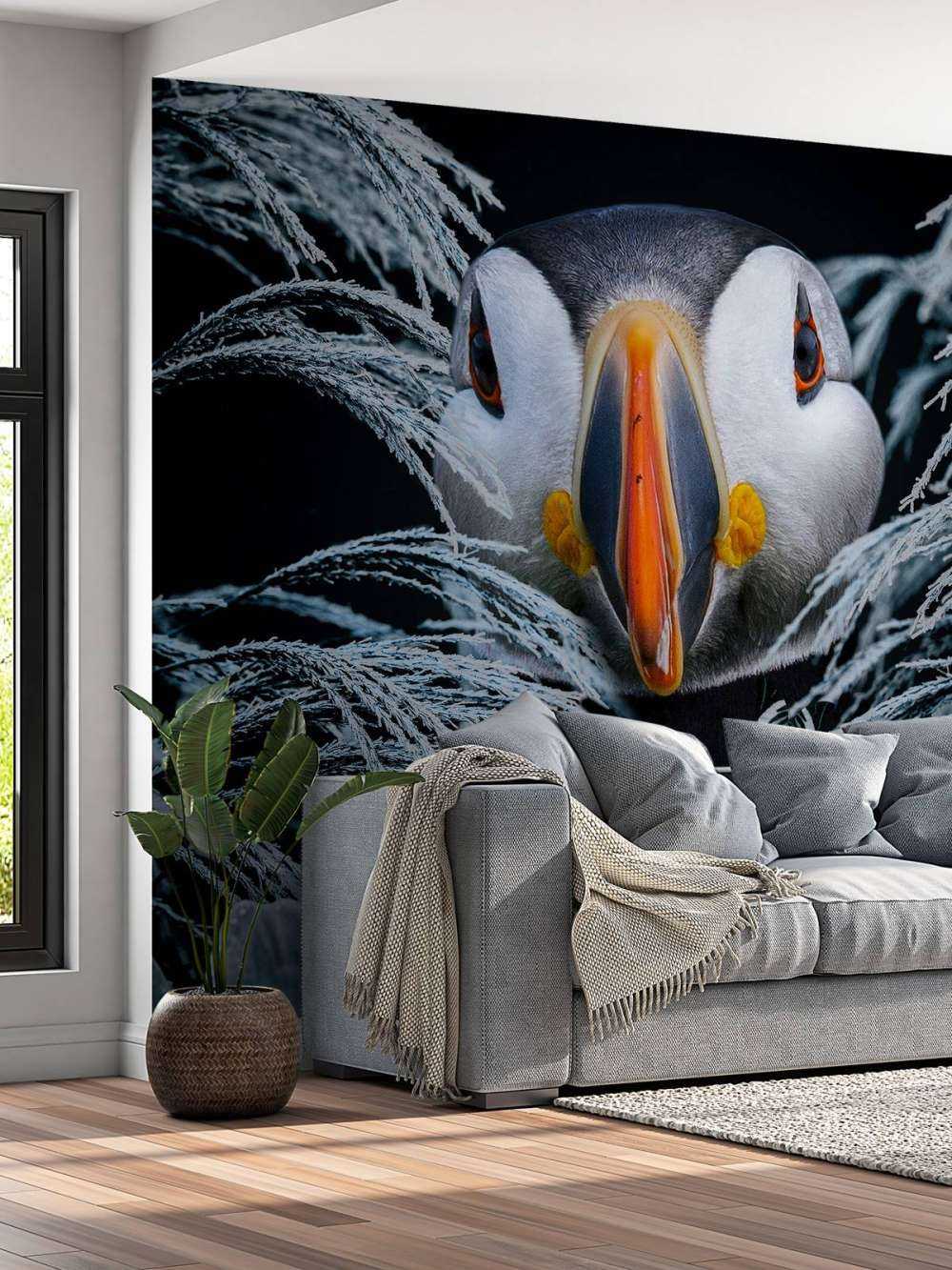 Atlantic Puffins Porträt