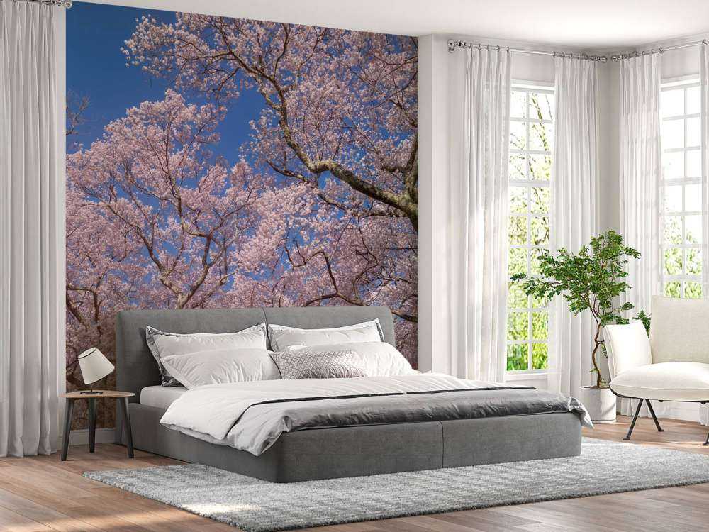 Blüten mit blauem Himmel