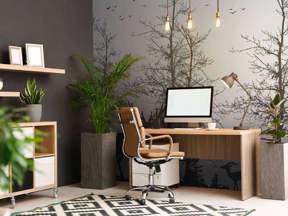 Winter Kontur Wald Stille