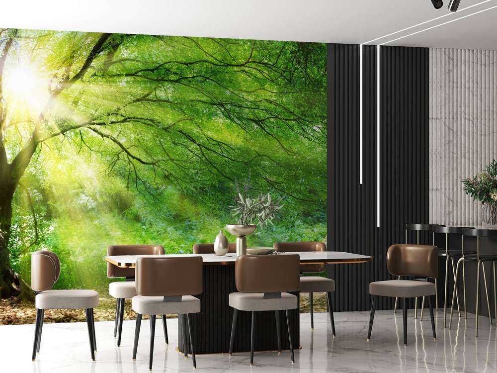Großer Baum mit Sonne