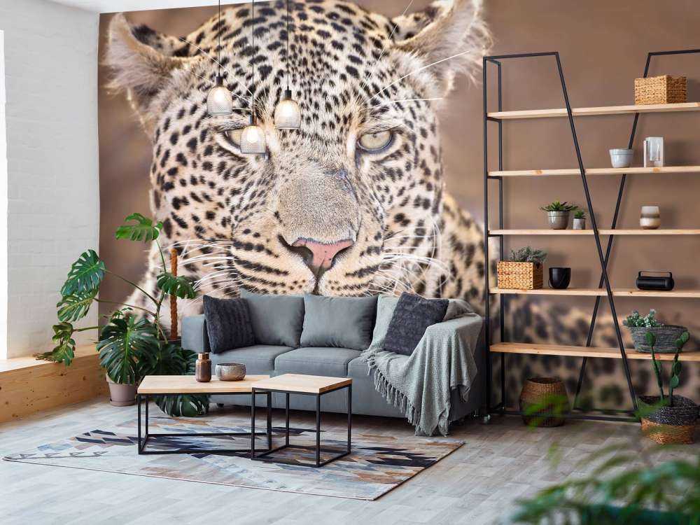Leopard Porträt