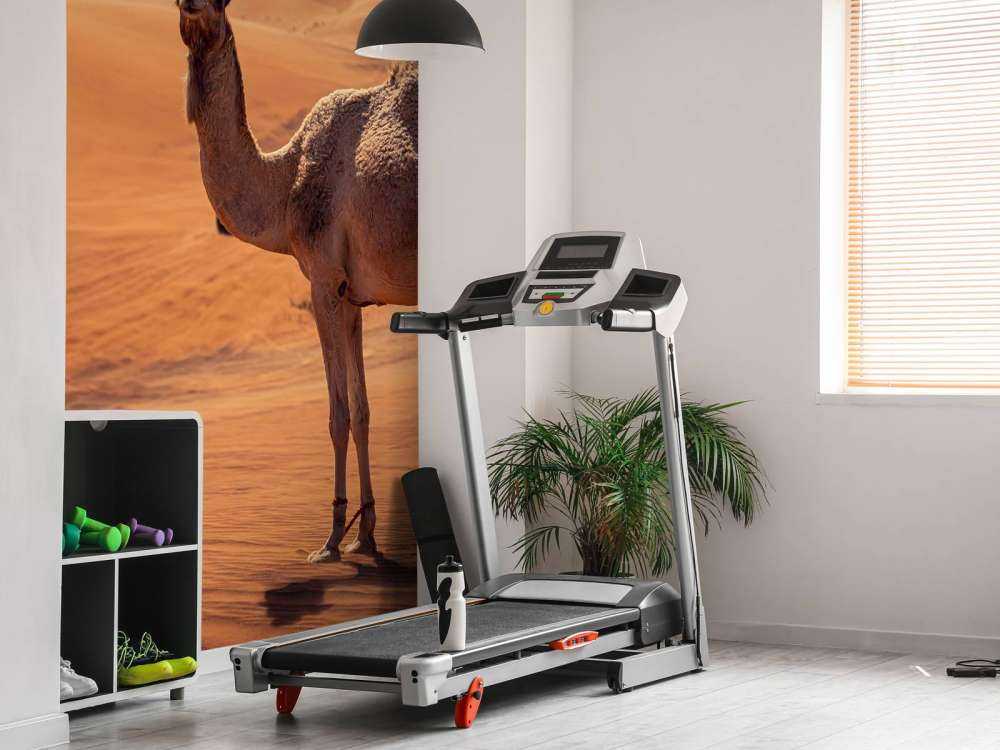 Offroad-Abenteuer in der Wüste