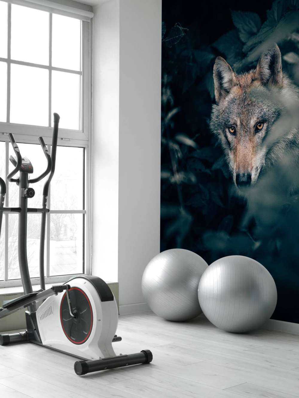 Nahaufnahme Wolf