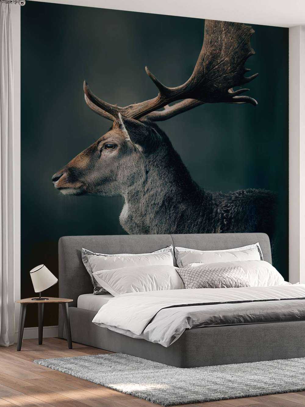 Damhirsch Nahaufnahme