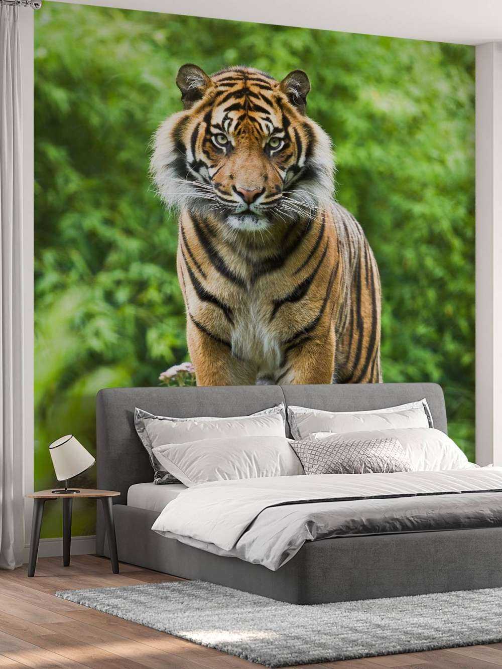 Tiger auf einem Stein