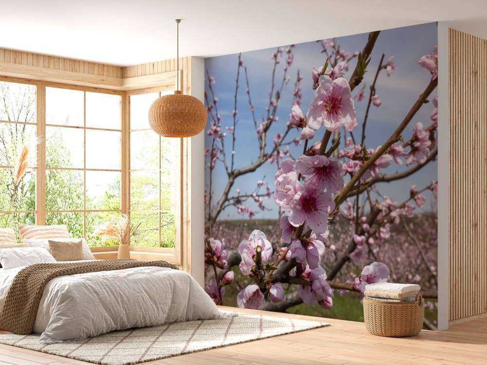 Hellrosa Blüten