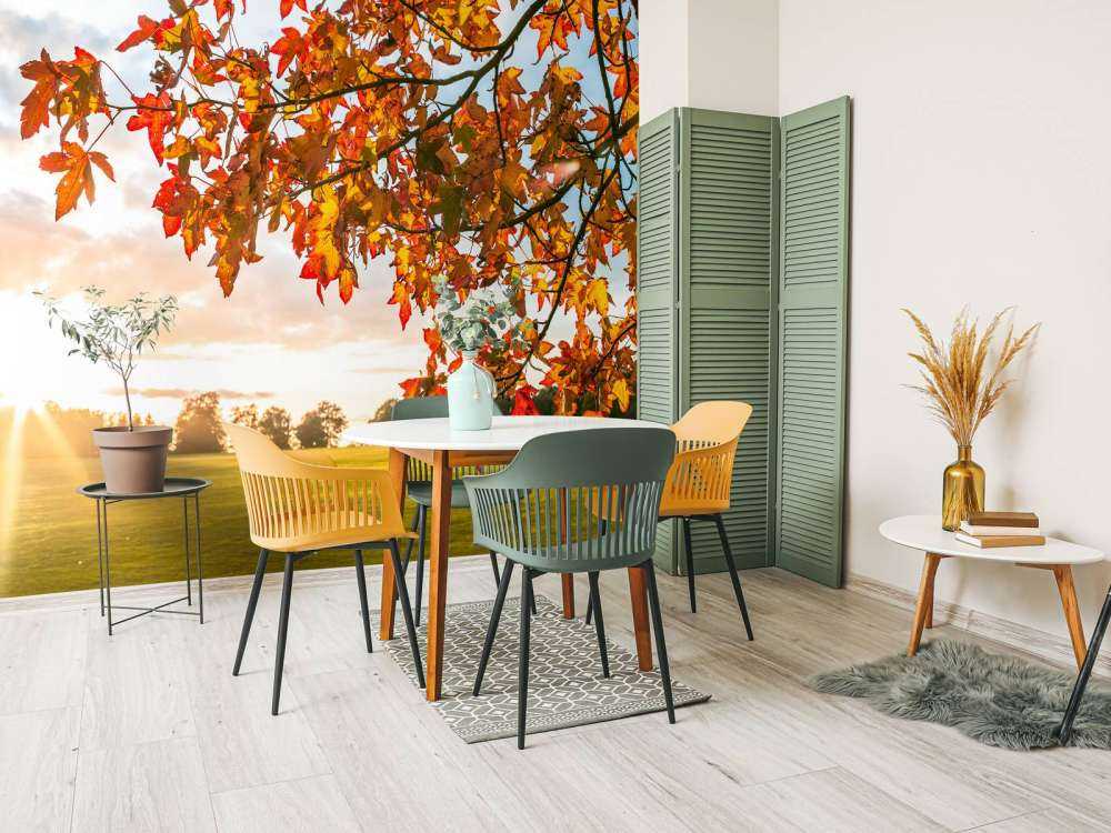 Herbstbaum bei Sonnenuntergang