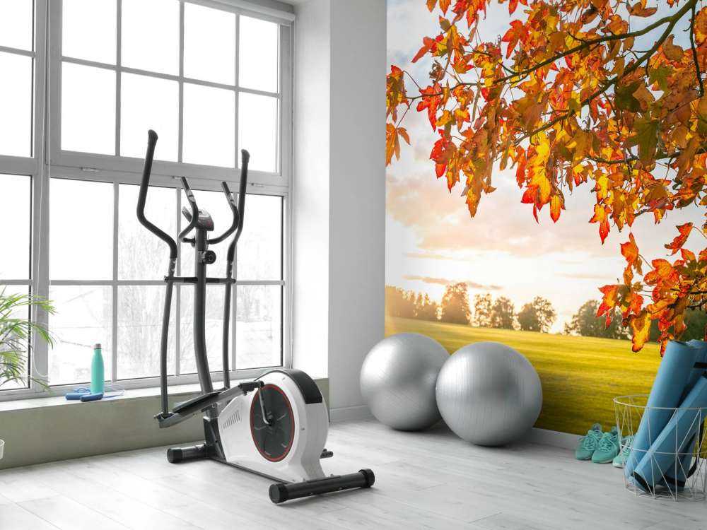 Herbstbaum bei Sonnenuntergang