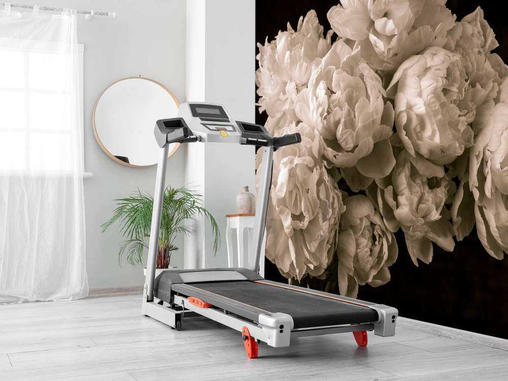 Strauß Pfingstrosen vintage