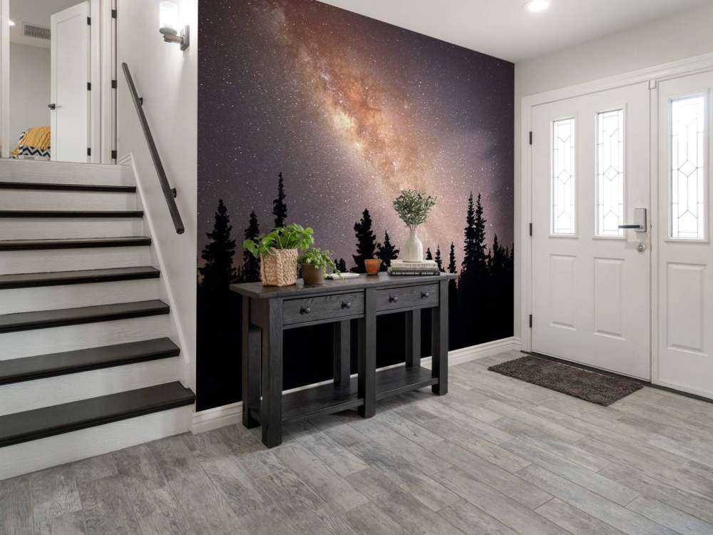 Milchstraße über Silhouette von Bäumen