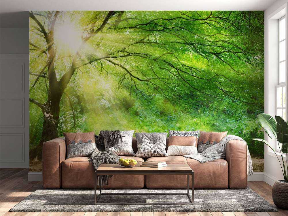 Großer Baum mit Sonne