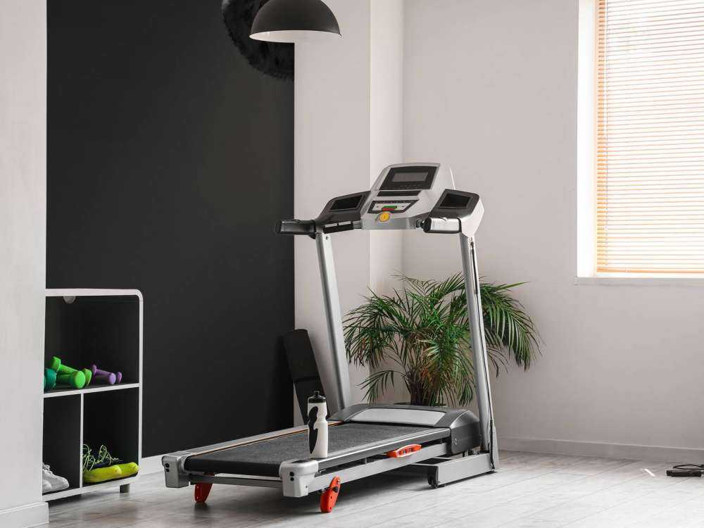 Nahaufnahme Schaf schwarz-weiß