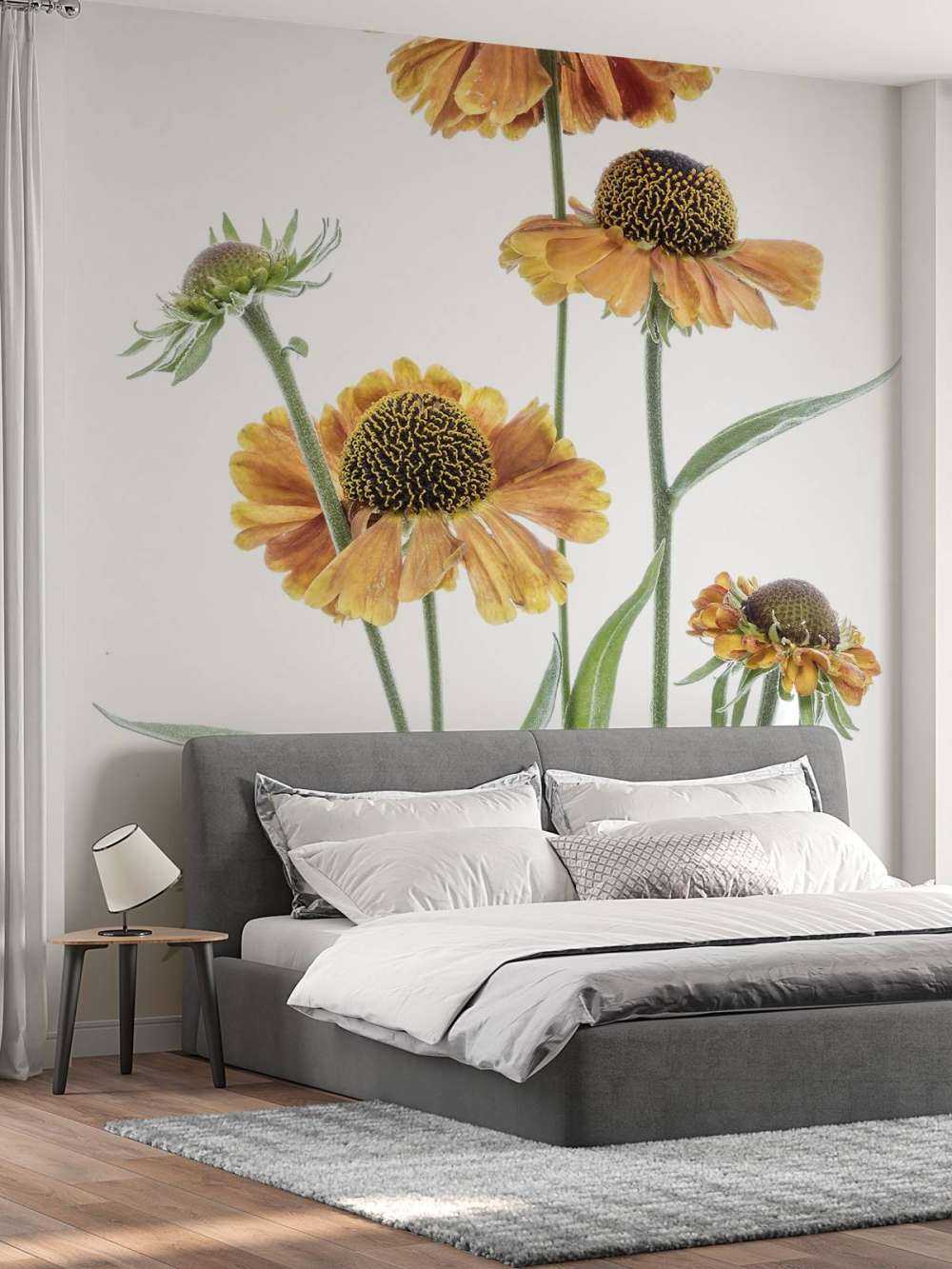 Gelbe Helenium