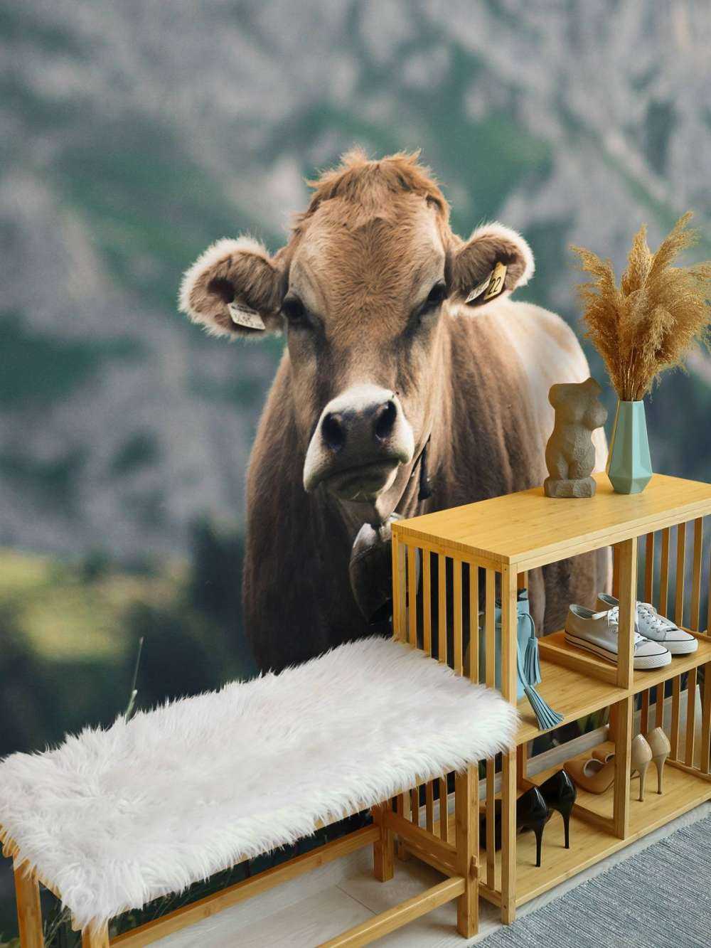 Bergkuh