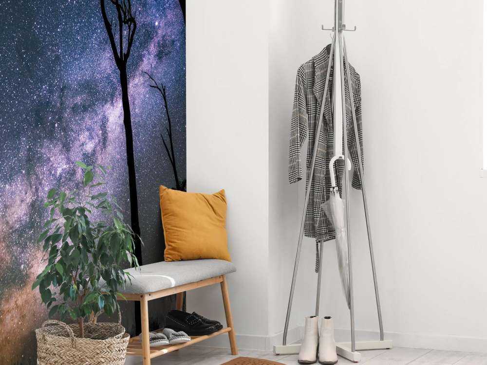 Sterne zwischen den Bäumen