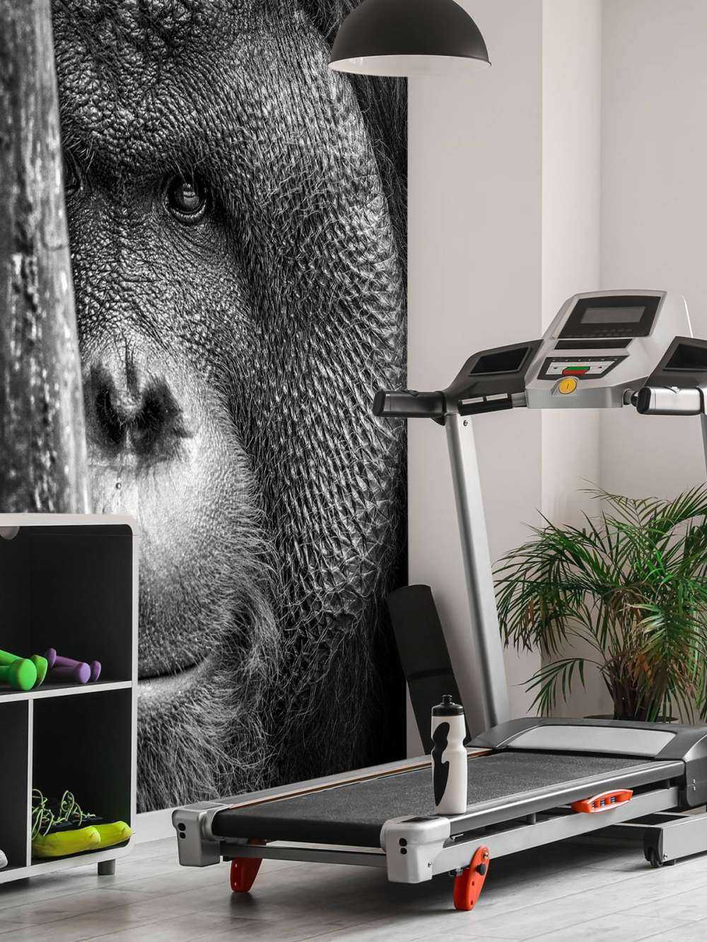 Orang-Utan schwarz-weiß