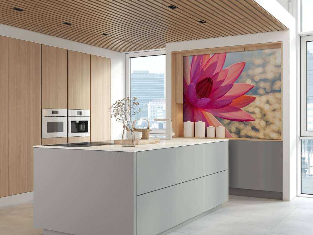 Lotusblume auf Wasser