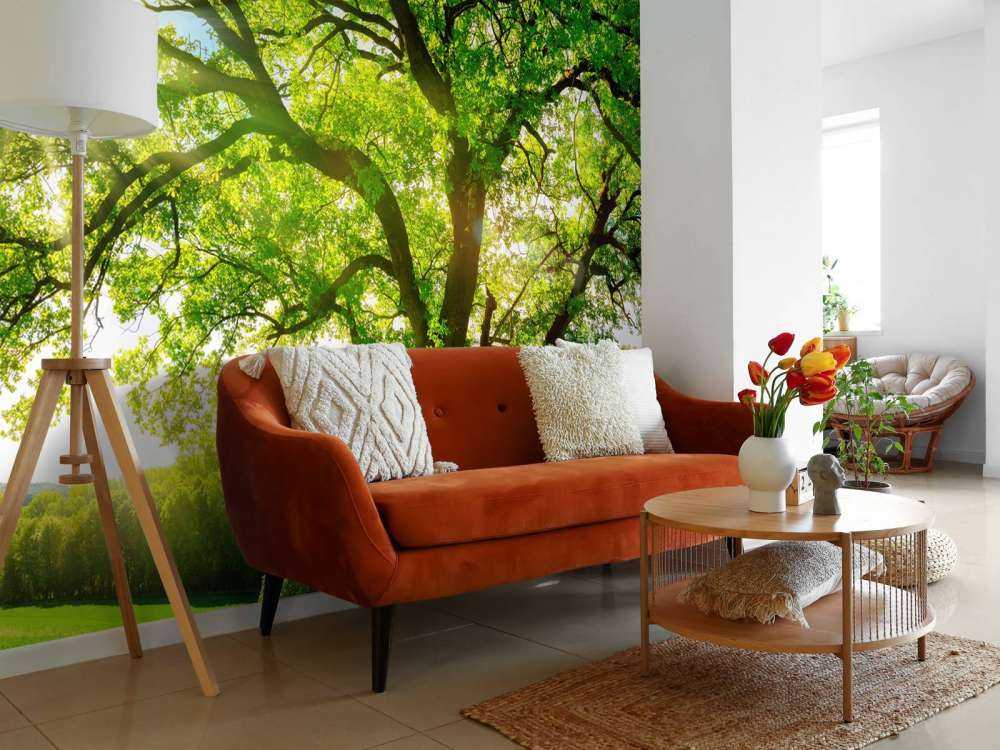 Baum mit Sonnenstrahlen