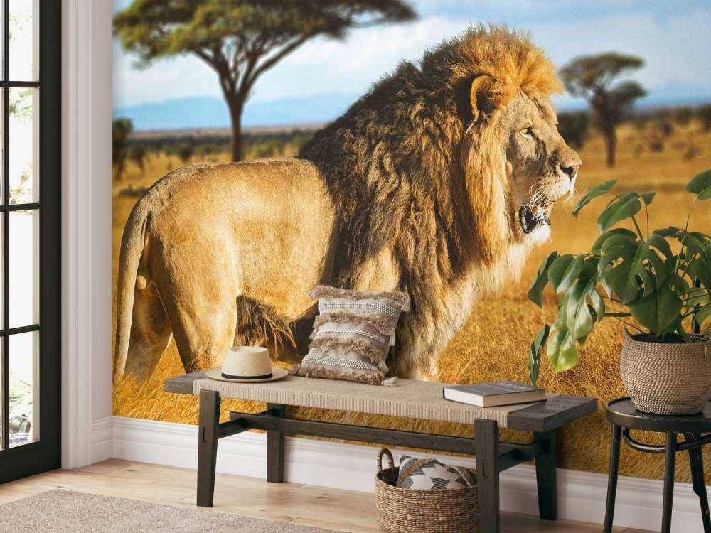 Löwe in der Savanne