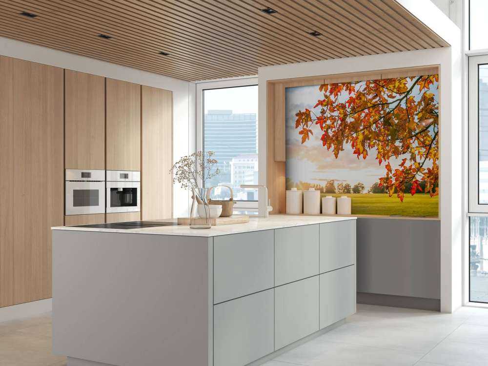 Herbstbaum bei Sonnenuntergang