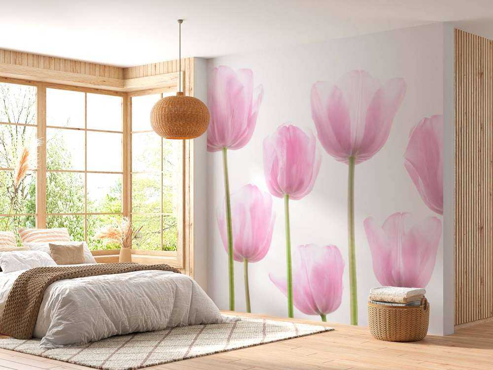 Rosa Tulpen