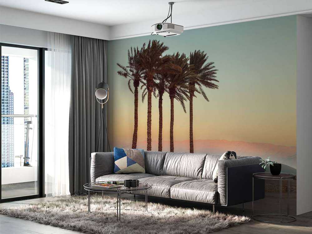 Palmen bei Sonnenuntergang