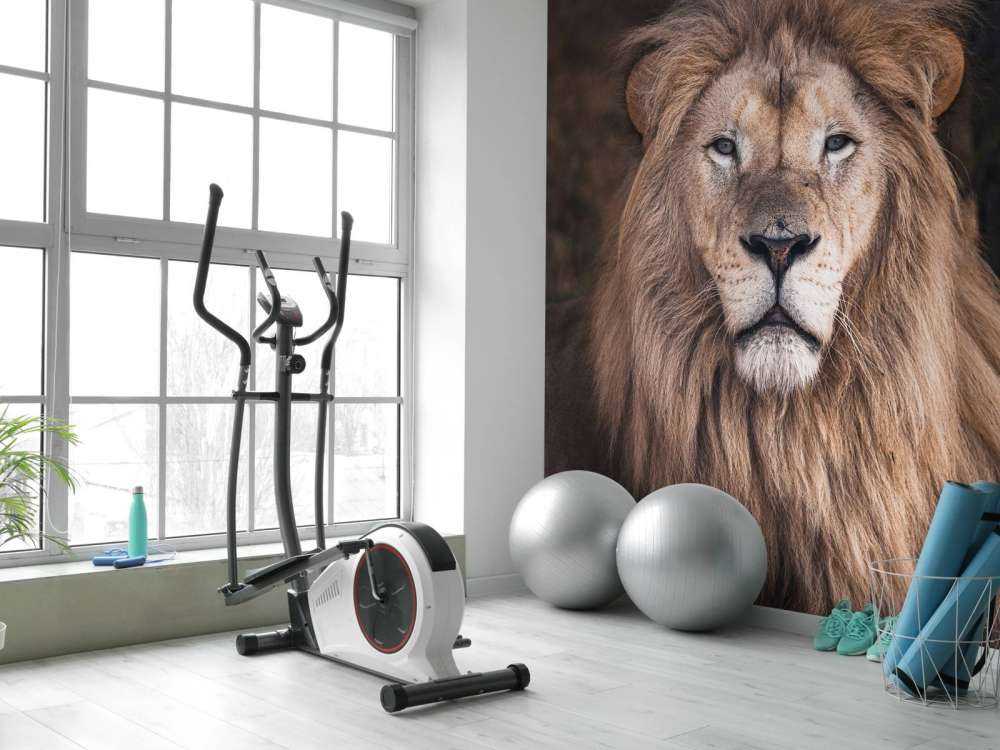 Porträt eines Löwen