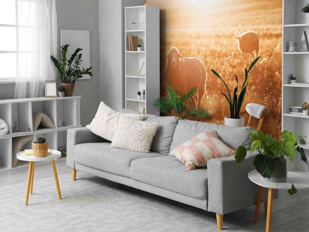 Schafe auf einer schönen Weide