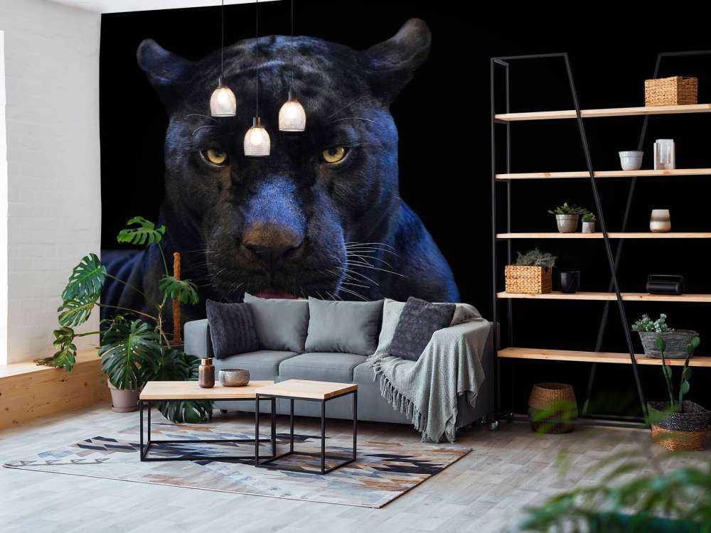 Nahaufnahme Panther