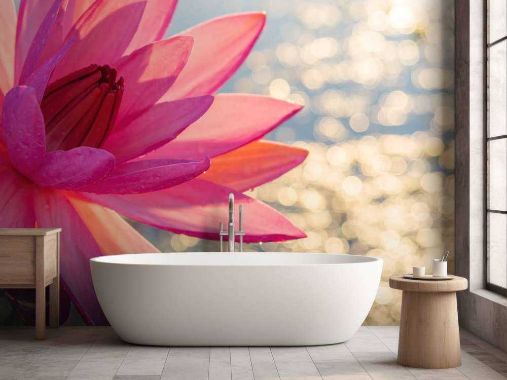 Lotusblume auf Wasser