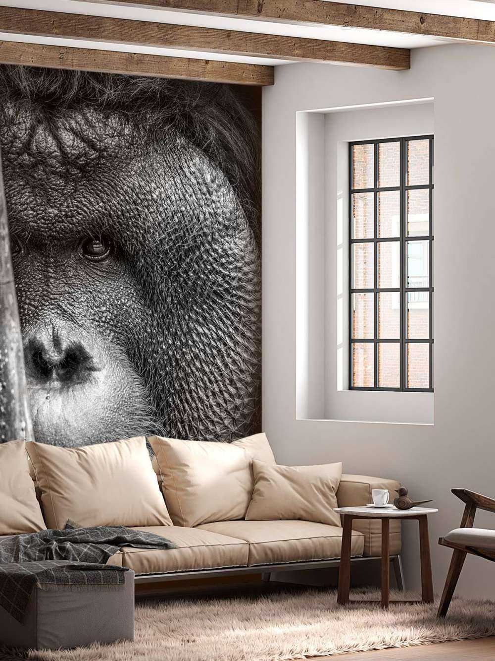 Orang-Utan schwarz-weiß
