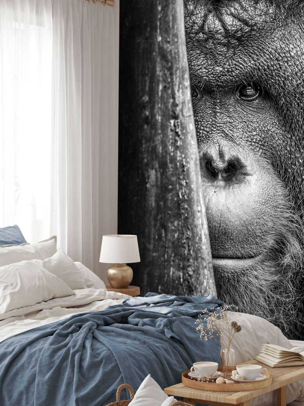 Orang-Utan schwarz-weiß