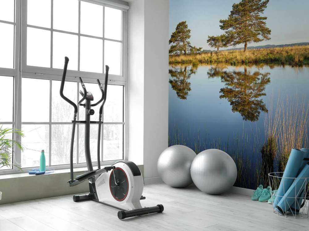 Waldland in der Heide